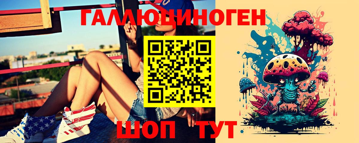 Галлюциногенные грибы мухоморы Кингисепп