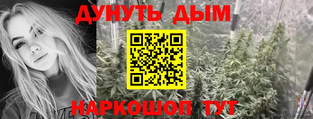 Бошки марихуана конопля  Конопля VHQ  Вход с VPN  Кингисепп  Марихуана сатива 